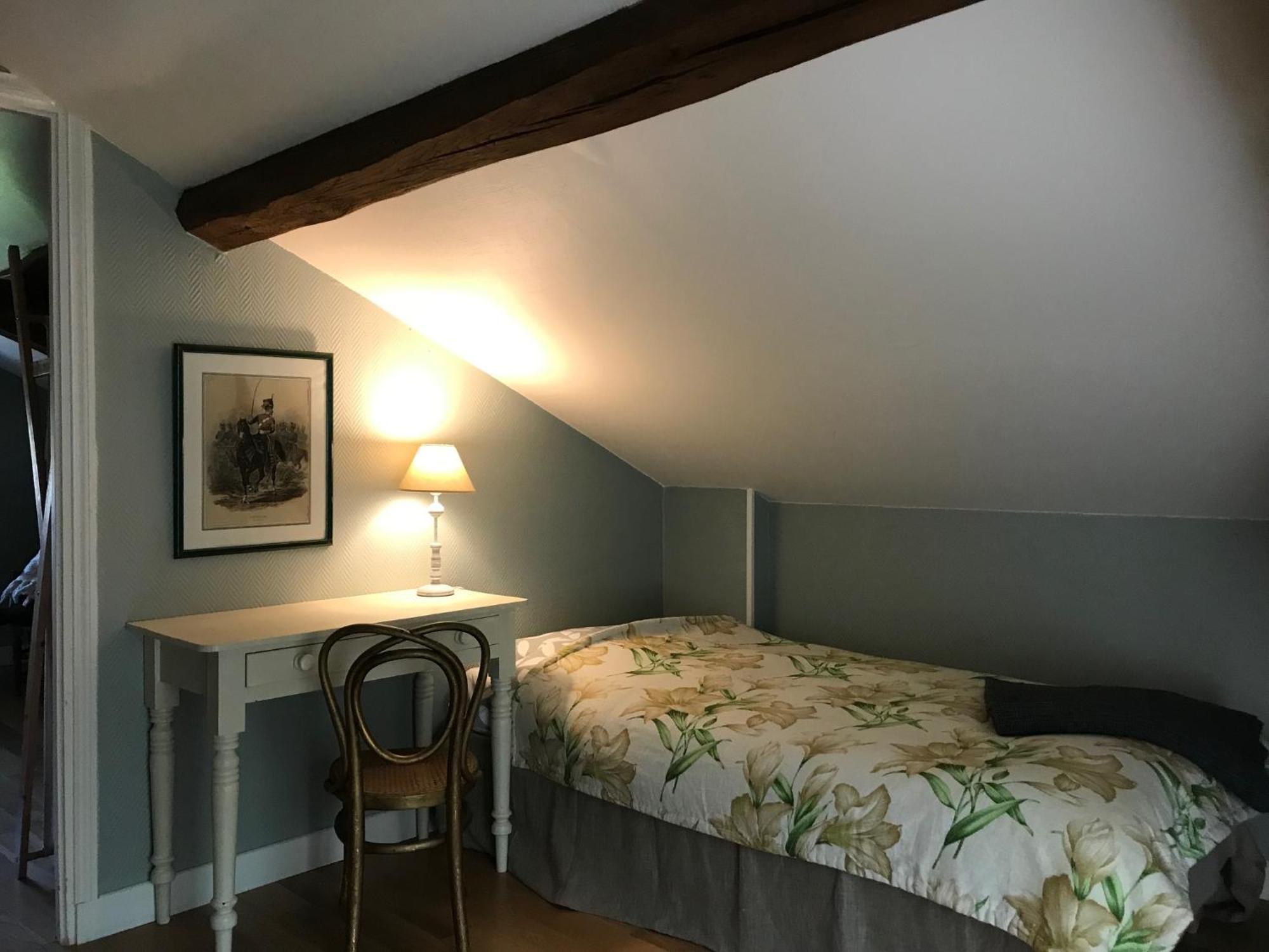 Gite Du Chateau D'Hodebert Saint-Paterne-Racan 외부 사진