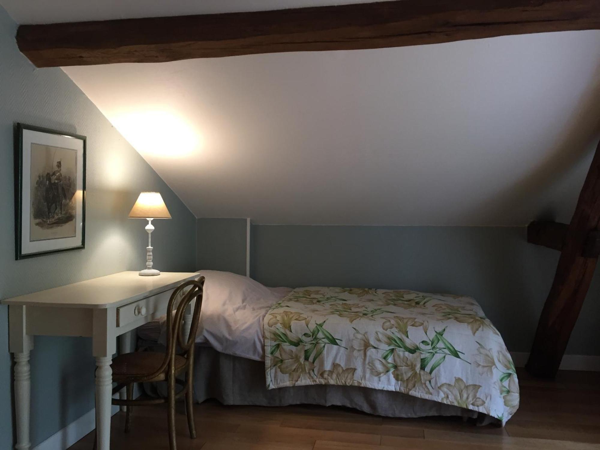 Gite Du Chateau D'Hodebert Saint-Paterne-Racan 외부 사진